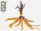 x(chng)Ĳ2.5l/ ڲ x؛r(ji)252Ԫ/